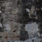 rêver de moisissure